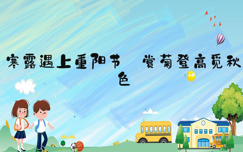 寒露遇上重阳节 赏菊登高觅秋色